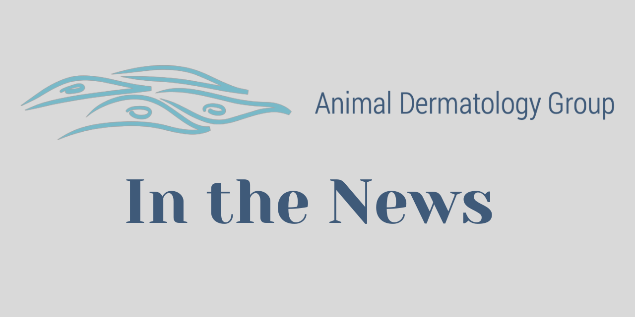 Dr. Helen Orbell, New Diplomate Animal Dermatology Clinic